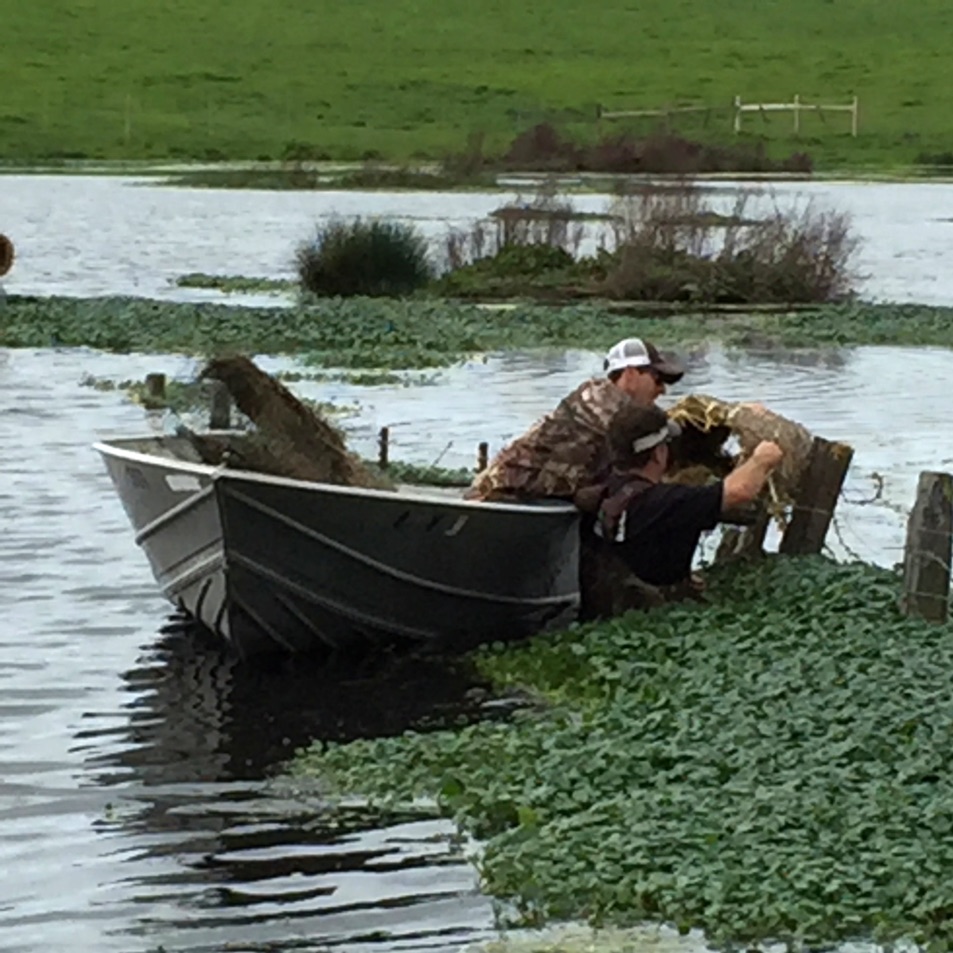 Wildlife Enhancement: Getting Our Ducks In A Row - Stemple Creek Ranch