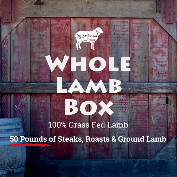 Stemple Creek Ranch Whole Lamb Box + $100 Gift Certificate