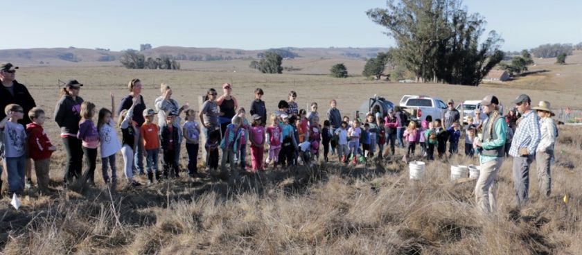 STRAW visits Stemple Creek