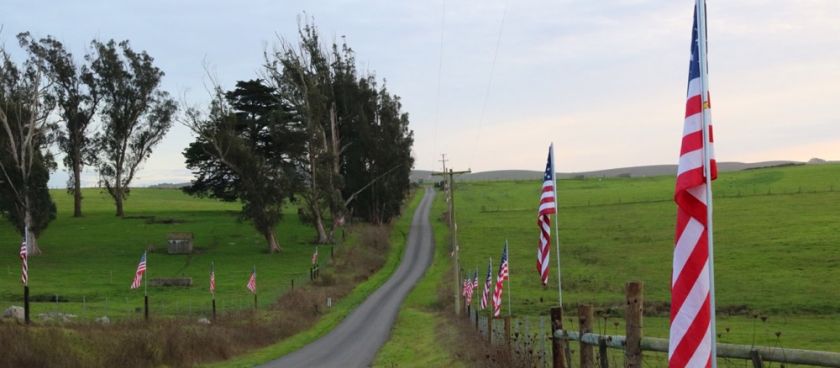 Celebrating Our Veterans with Ranchin' Vets