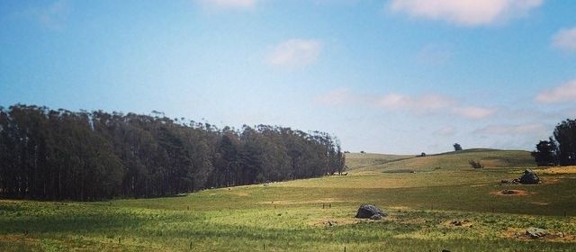 Sharing The Marin Carbon Project