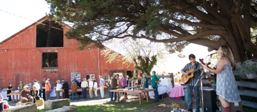 MALT Directors' BBQ 2015