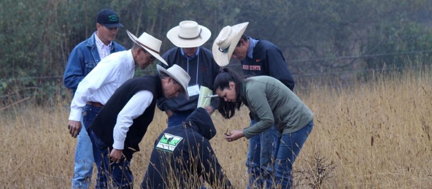 Talking Soil
