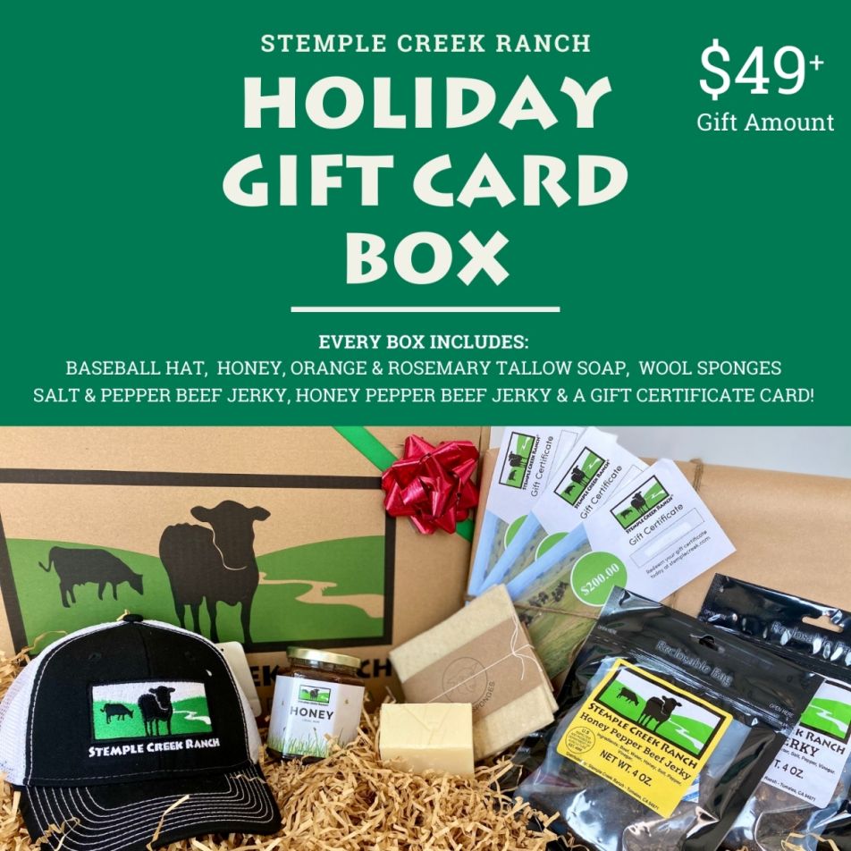 SCR Holiday Gift Card Box Graphic