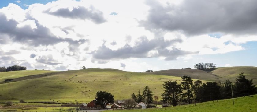 Come for a Ranch Stay!