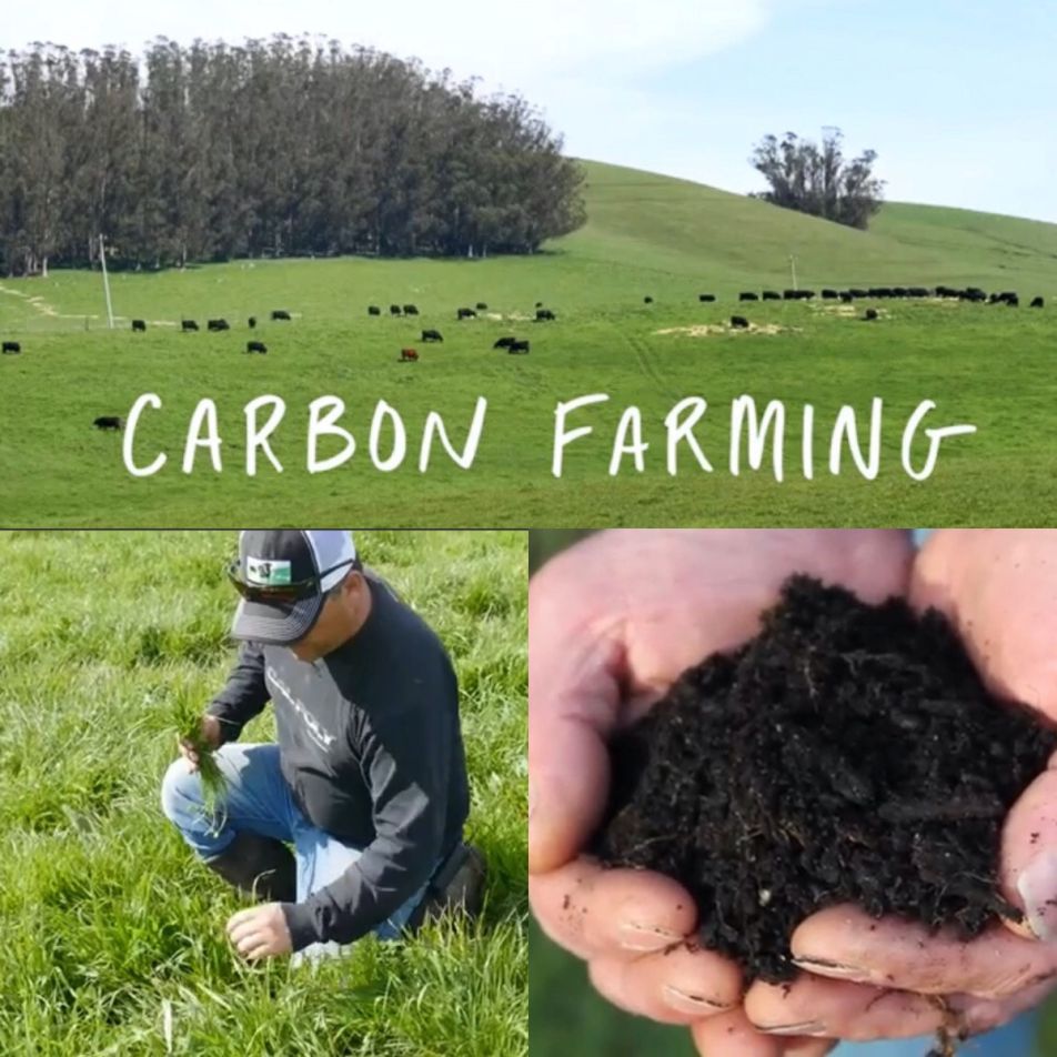 Scrcarbon Farming