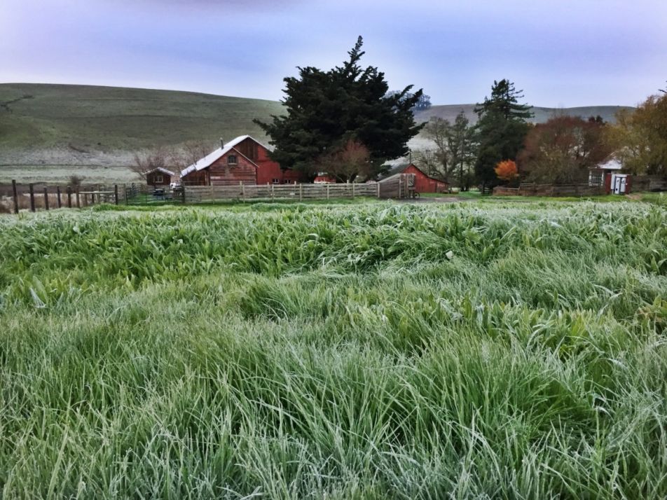 Scrgrass Farm Img 2054