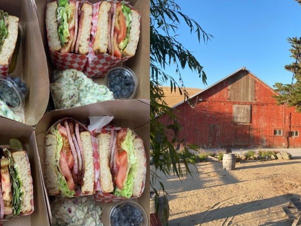 Take a Self-Guided Hike and Picnic at our Ranch!