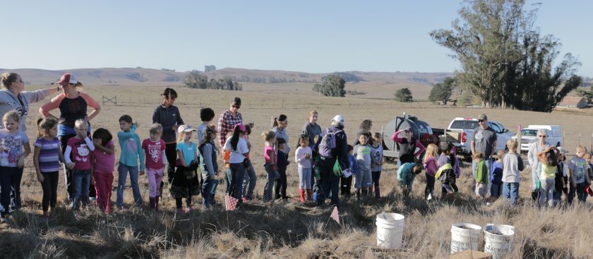 STRAW Project: Three Years Later